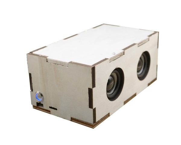 IceTronics Basic Bluetooth speaker kit